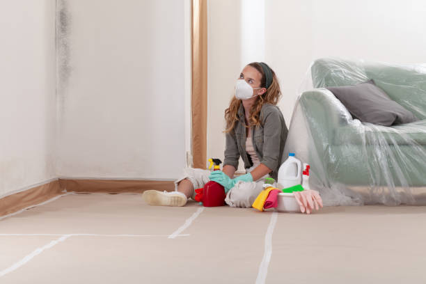 Reliable Black Mold Removal contractor in Salisbury, MD by WQB Mold Removal